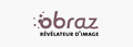 logo OBRAZ