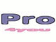 professional 4 you