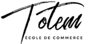 Logo Totem Formation