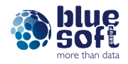 BLUE SOFT GROUP Stage Alternance