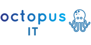 Octopus IT Stage Alternance