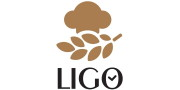 LIGO GROUPE