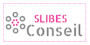 Logo SLIBES Conseil