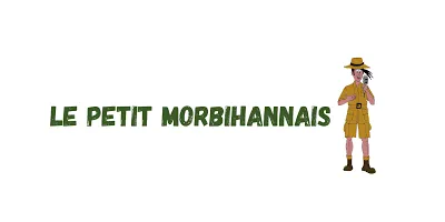 Logo Le Petit Morbihannais